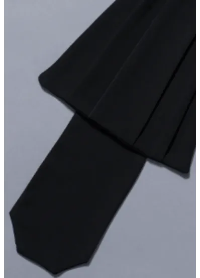 Epitoge Noire Sans fourrure