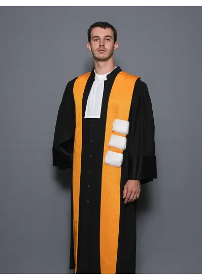 Robe Maitre de conférence - Arts/Lettres/Philosophie