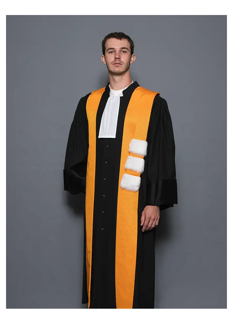 Robe Maitre de conférence - Arts/Lettres/Philosophie
