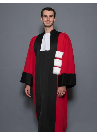 Robe Professeur d'Université - Droit/Economie