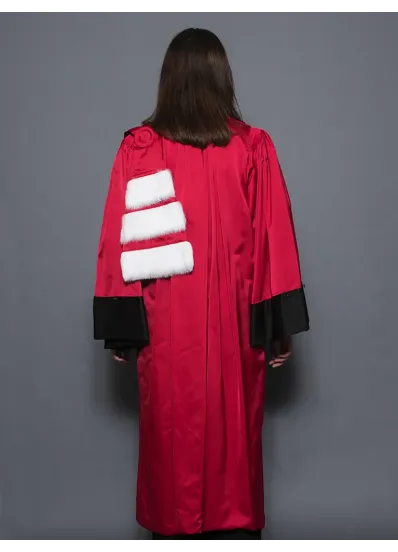 Robe Professeur d'Université - Médecine