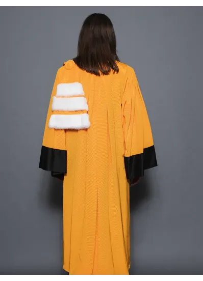Robe Professeur d'Université - Arts/Lettres/Philosophie