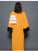 Robe Professeur d'Université - Arts/Lettres/Philosophie