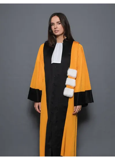 Robe Professeur d'Université - Arts/Lettres/Philosophie