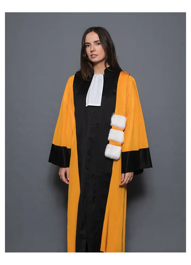 Robe Professeur d'Université - Arts/Lettres/Philosophie