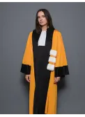 Robe Professeur d'Université - Arts/Lettres/Philosophie