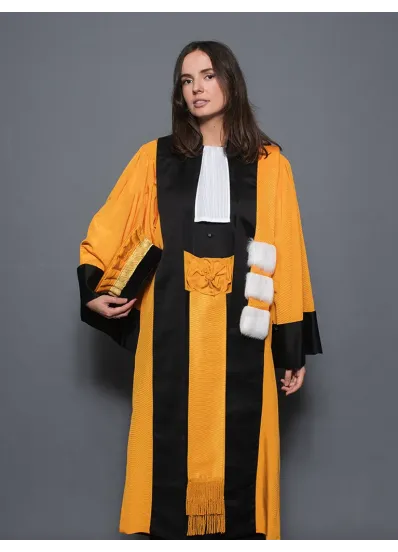 Robe Professeur d'Université - Arts/Lettres/Philosophie